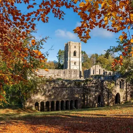 - Sleeps 3 - Garden - Pet Friendly 펜션 *